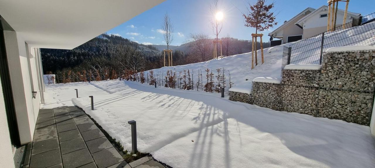 Upland Lounge Διαμέρισμα Willingen  Εξωτερικό φωτογραφία